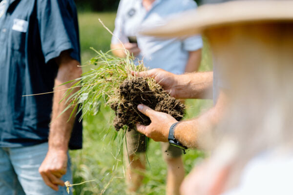 Basic vs AgriSea Soil Testing