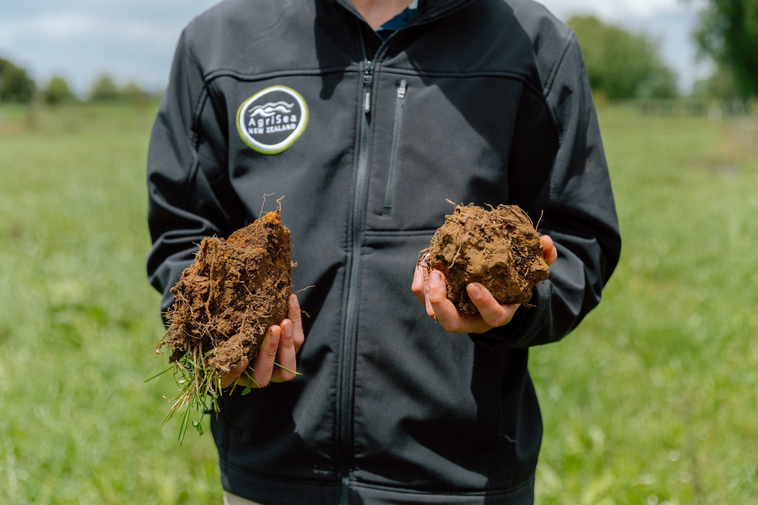 Autumn Activation with Soil Nutrition