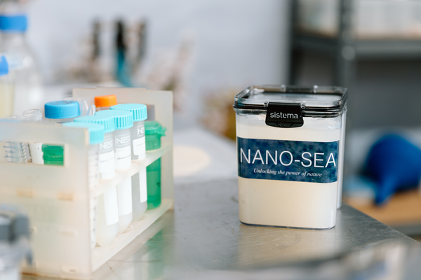 Nanocellulose – Turning Seaweed Waste into High-Value Innovation