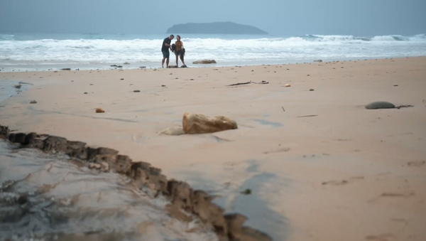 Sachie's Kitchen: Coromandel