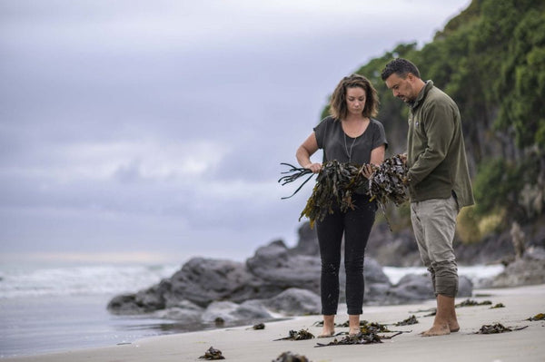 Sustain Episode 7: Farming the Sea – Seaweed Aquaculture Research in NZ