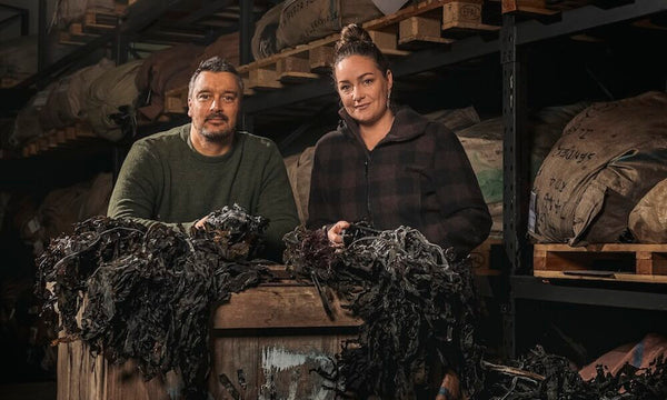 New Hi-Tech Seaweed Product Could Make Paeroa World Famous