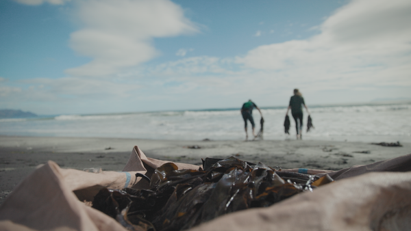 Bioremediation Pilot Project – Waihou River