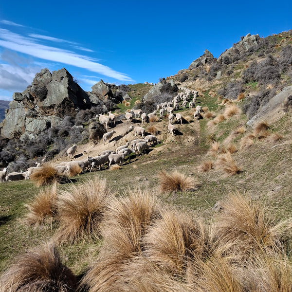 Making Hard Country Work: The Klifden Approach