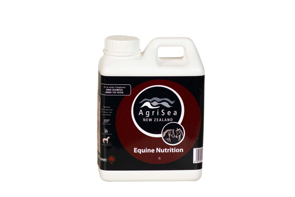 Equine Nutrition