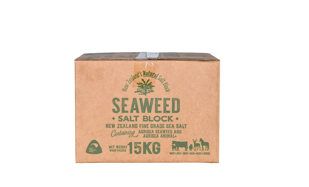 Seaweed Salt Blocks