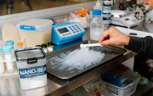 AgriSea Nanocellulose Refinery a World First