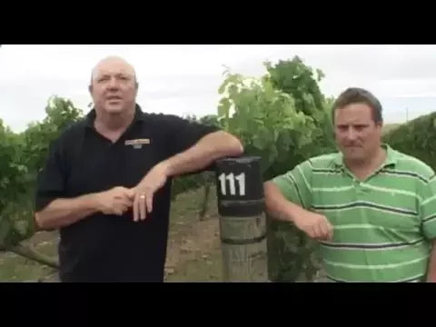 Mal McLennan: Less Disease, More Flavour at MaiMai Vineyard