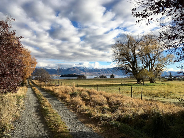 AgriSea Autumn Newsletter, 2025